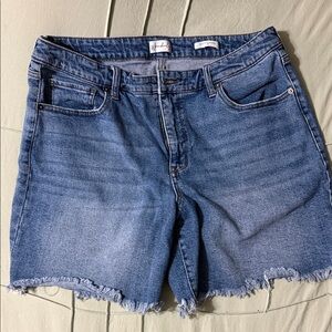 Wonderly Blue Frayed Hem Jean Shorts